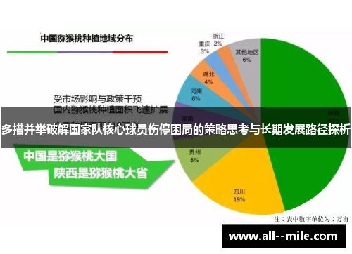 多措并举破解国家队核心球员伤停困局的策略思考与长期发展路径探析